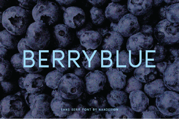 Berryblue: A Versatile Sans Serif for Modern Branding