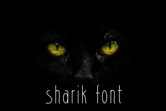 Sharik: A Modern Sans Serif Font for Makers