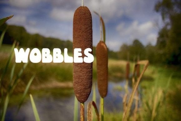 Wobbles: A Bold Sans Serif Font for Marketers